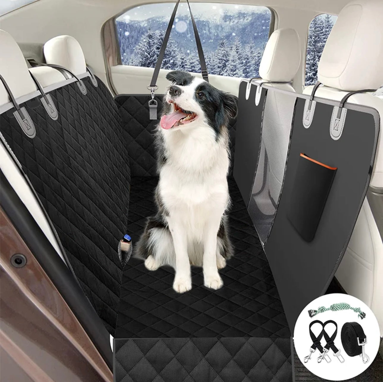 Protect your car and provide optimal comfort for your dog!