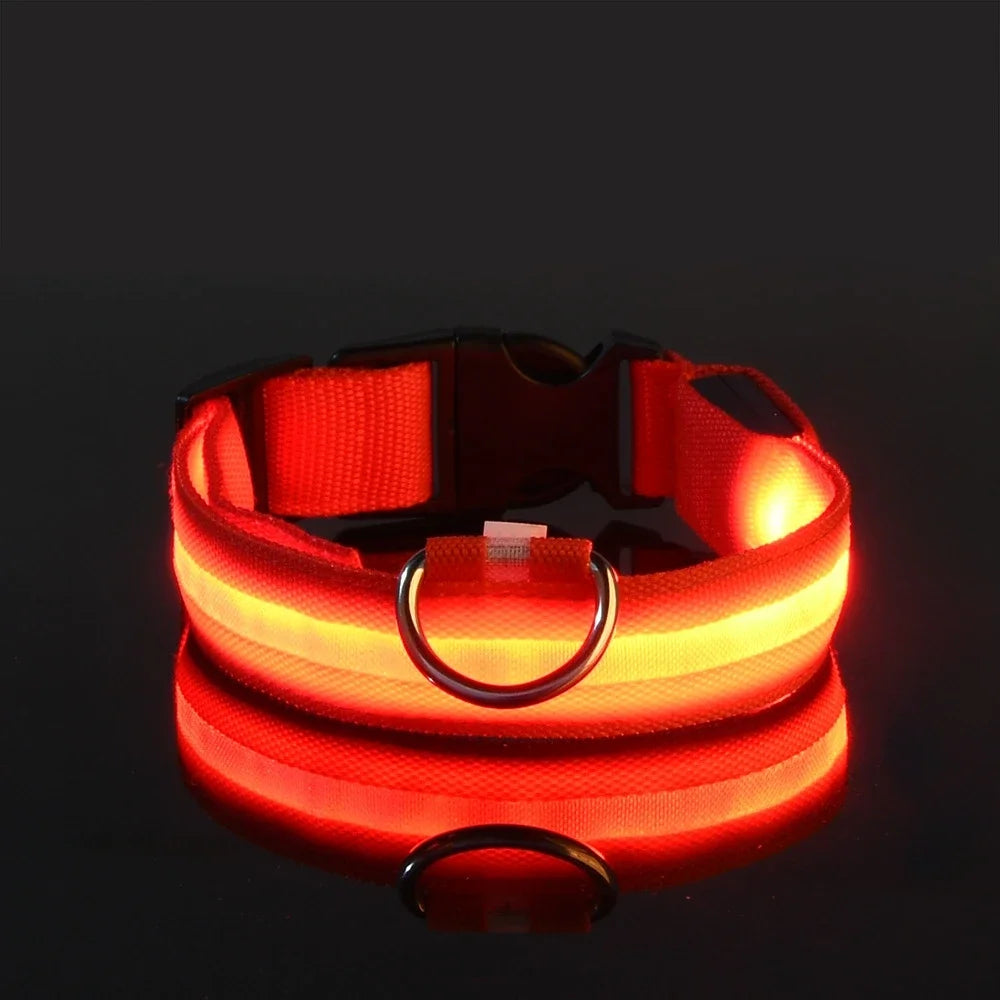 LED Dog Collar – Night Safety and Visibility 🌟🐶