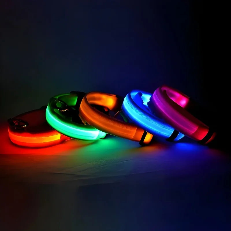 LED Dog Collar – Night Safety and Visibility 🌟🐶