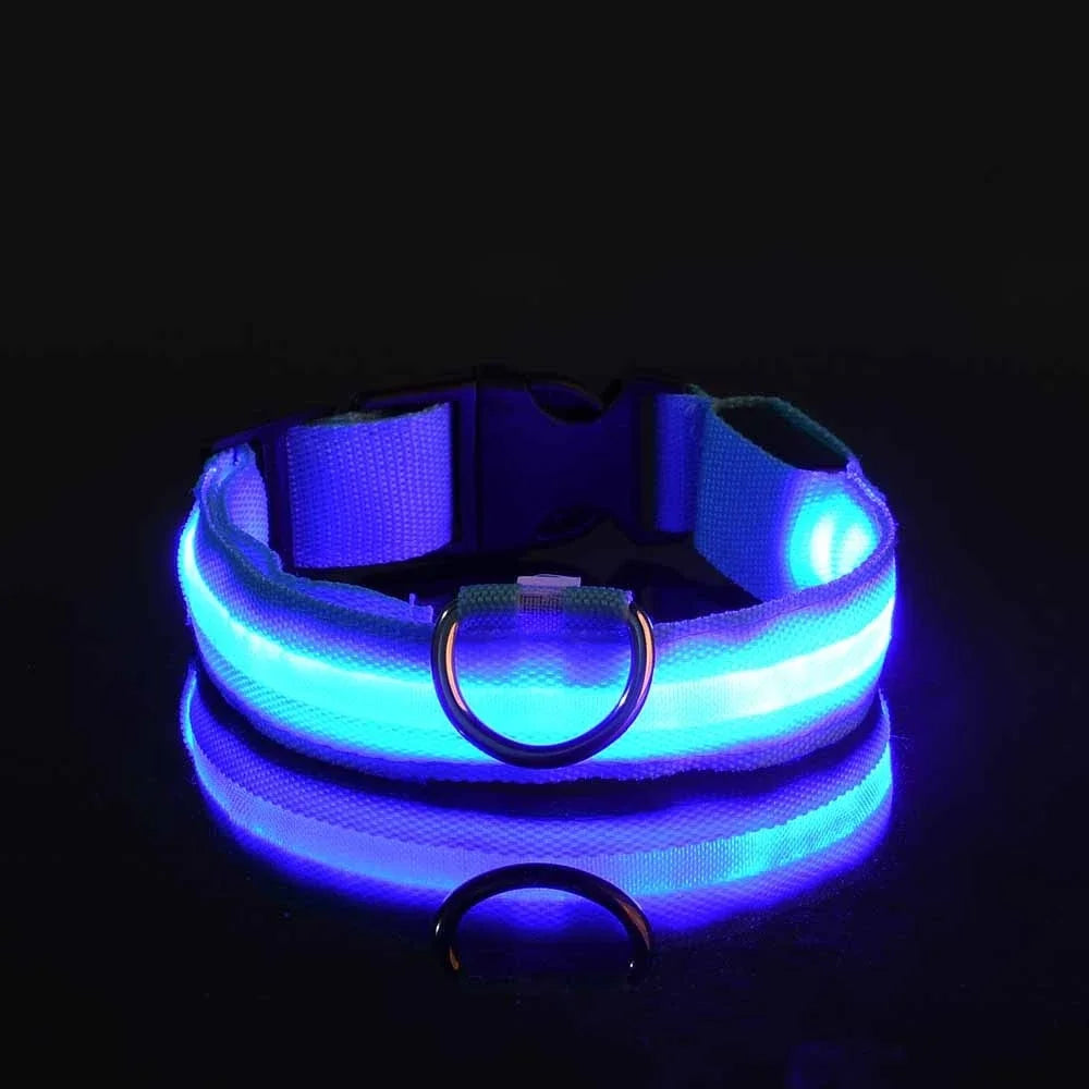 Collier LED pour Chien – Sécurité et Visibilité de Nuit 🌟🐶