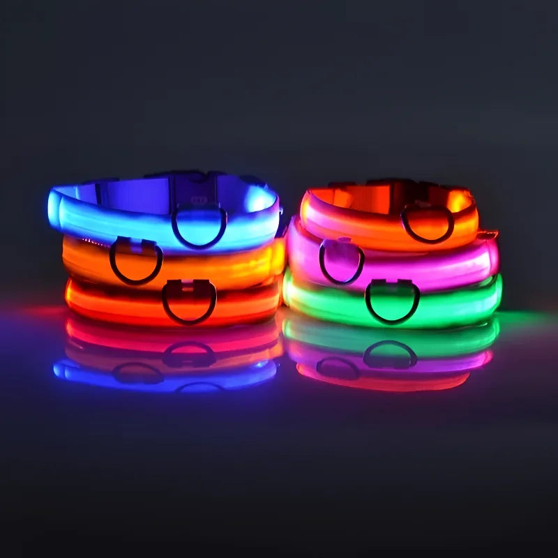 LED Dog Collar – Night Safety and Visibility 🌟🐶