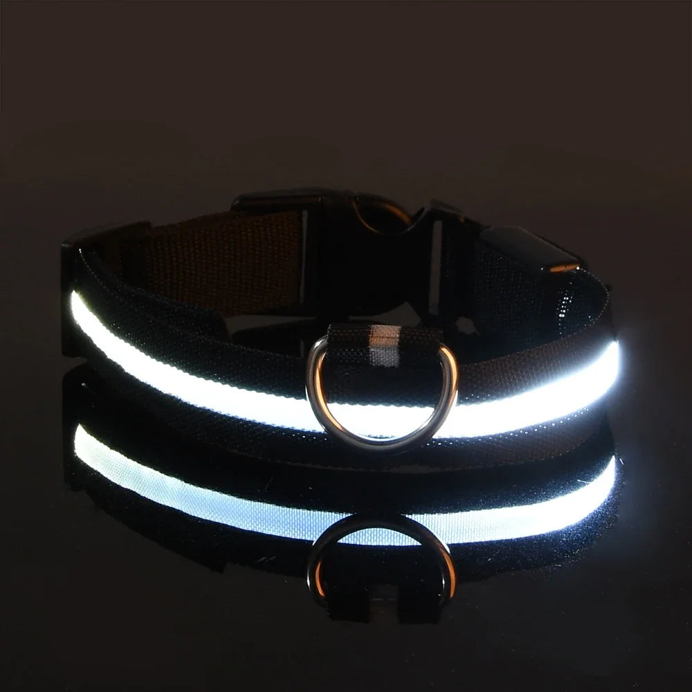 Collier LED pour Chien – Sécurité et Visibilité de Nuit 🌟🐶