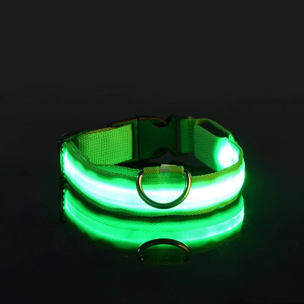 Collier LED pour Chien – Sécurité et Visibilité de Nuit 🌟🐶