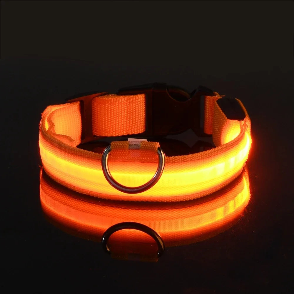 Collier LED pour Chien – Sécurité et Visibilité de Nuit 🌟🐶