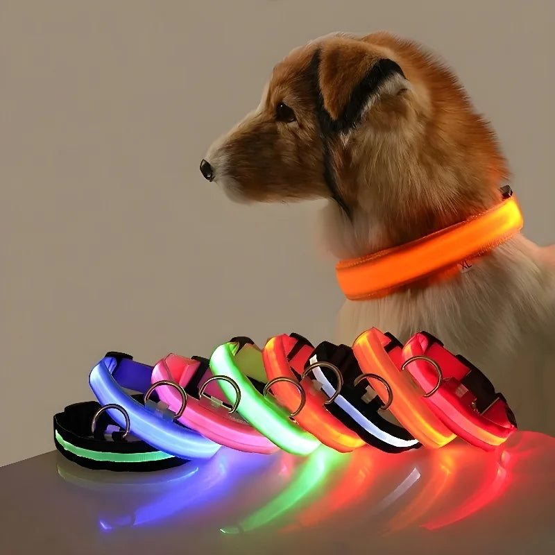 Collier LED pour Chien – Sécurité et Visibilité de Nuit 🌟🐶