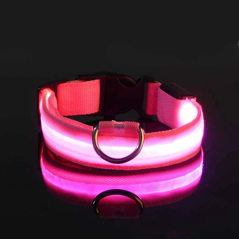 Collier LED pour Chien – Sécurité et Visibilité de Nuit 🌟🐶