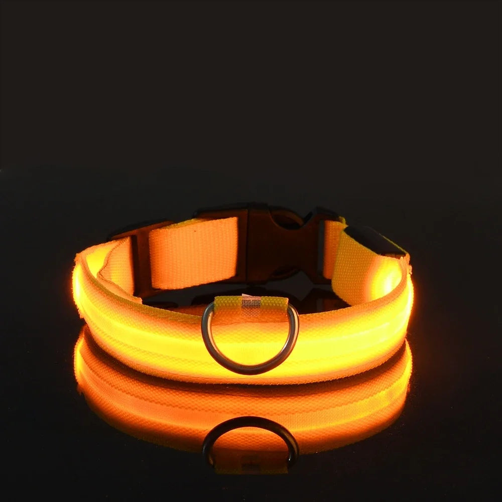 LED Dog Collar – Night Safety and Visibility 🌟🐶